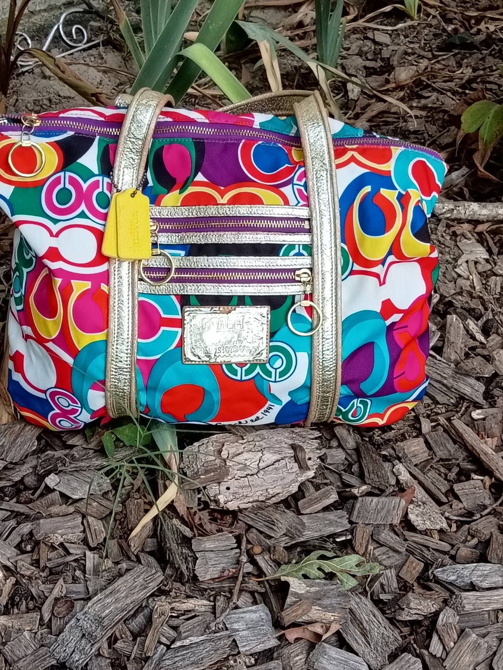 Vintage Coach Poppy